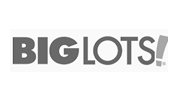 Logo Item